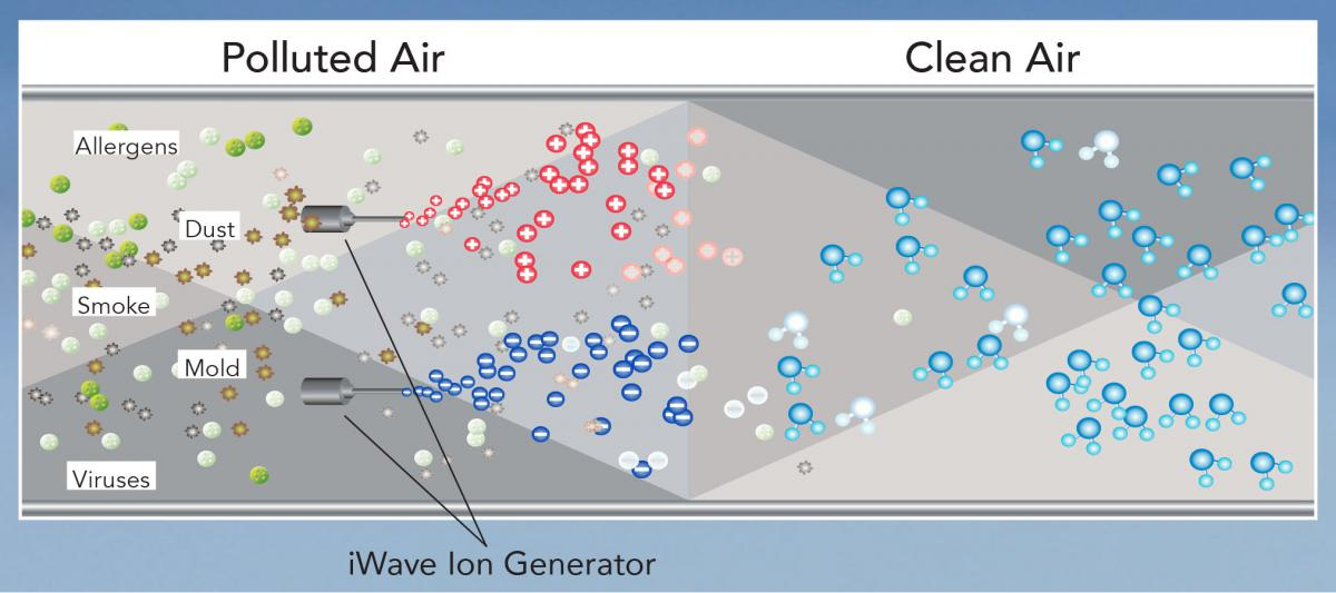 A Diagram showing how the iWave Air Purification devices help to remove Viruses & Bacteria from the Air